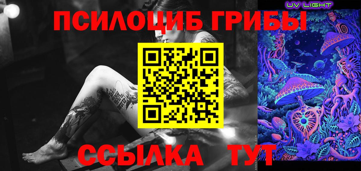 Псилоцибиновые грибы Magic Shrooms Новокуйбышевск