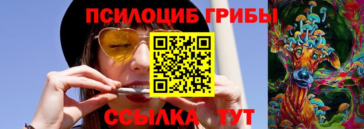 Новокуйбышевск  Псилоцибиновые грибы прущие грибы  Галлюциногенные грибы MAGIC MUSHROOMS  Вход с VPN 